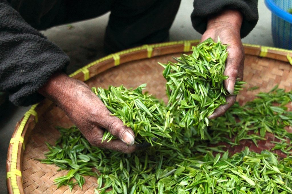 green leafs